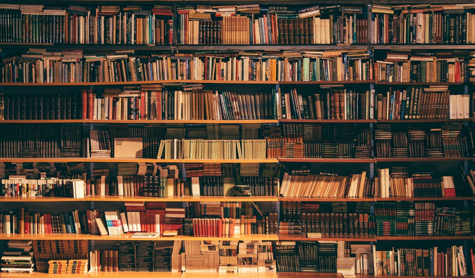 Contra la inmediatez: el valor de la cultura lenta